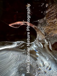 a close up of a water drop