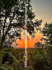 a sunset over a forest with trees in the background