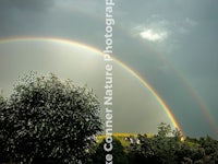 two rainbows over a field with trees in the background