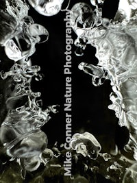 water splashes on a black background