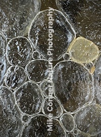 a close up of ice bubbles in the water