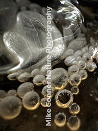 a close up of bubbles in a bowl of water